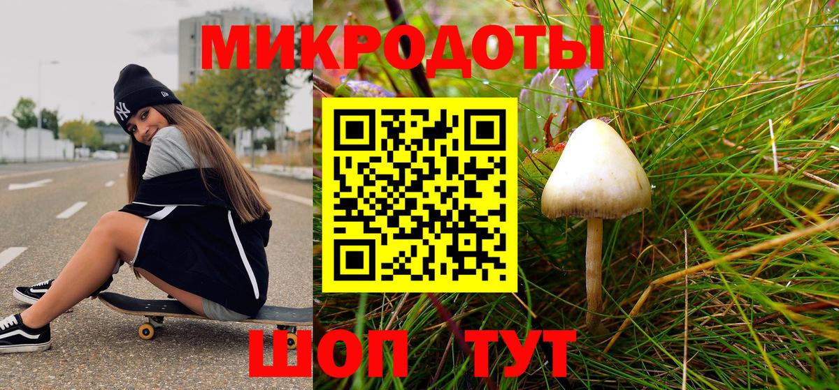 Красноуфимск  Галлюциногенные грибы Psilocybe  где найти   Вход с VPN 